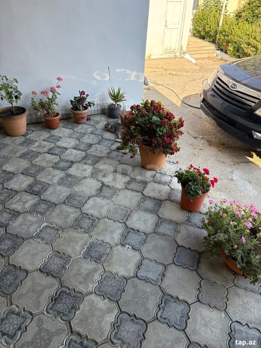 Bağ evi kirayə verilir, Mərdəkan qəs. (4)