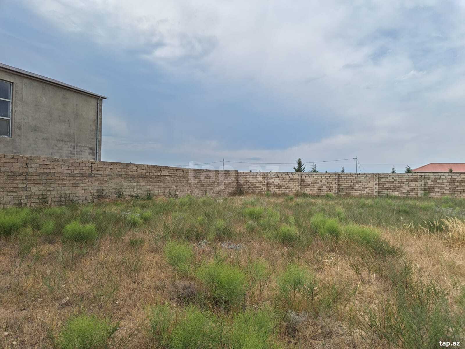 12 sot torpaq sahəsi, Zirə qəs. (6)