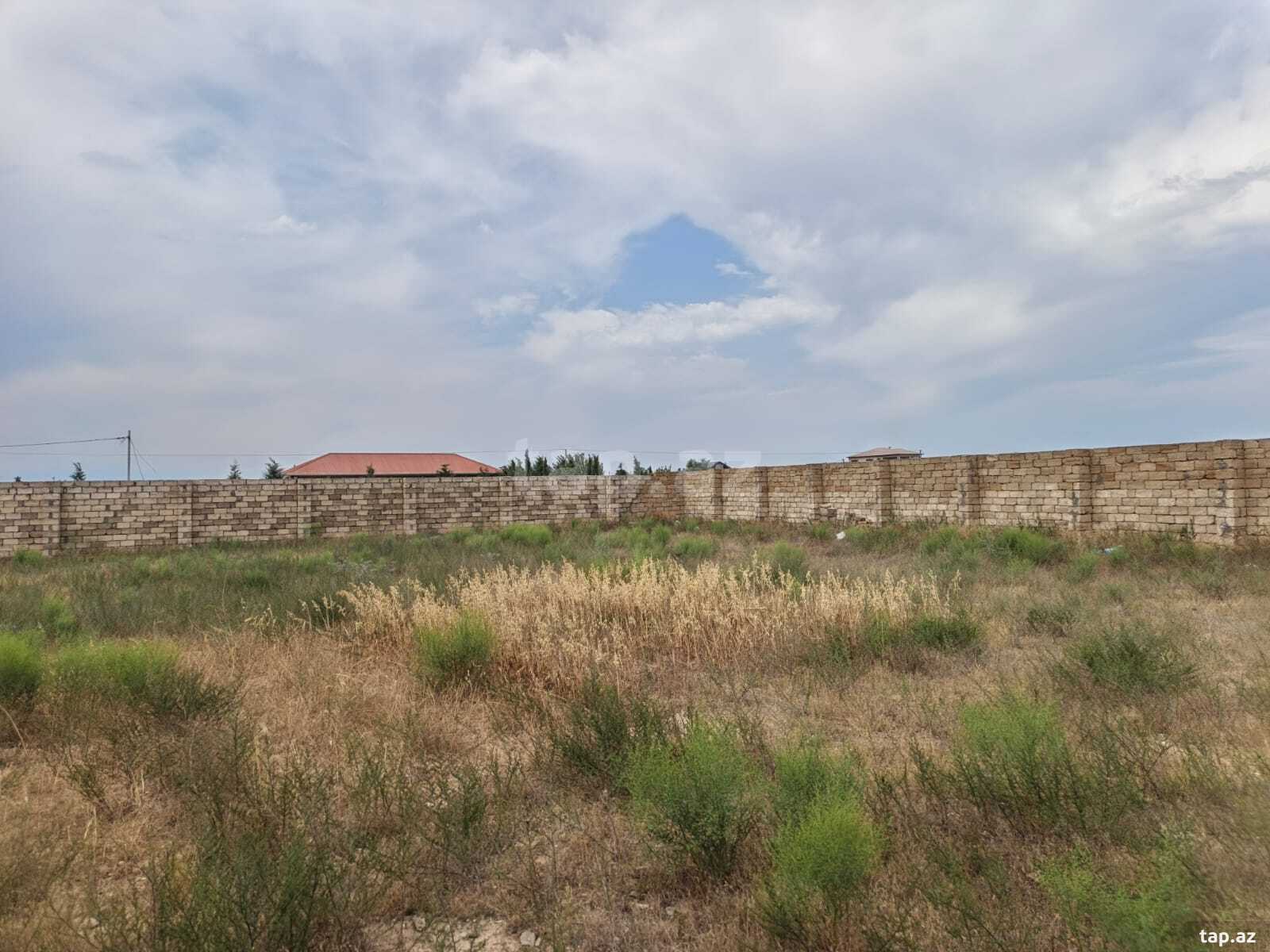 12 sot torpaq sahəsi, Zirə qəs. (7)
