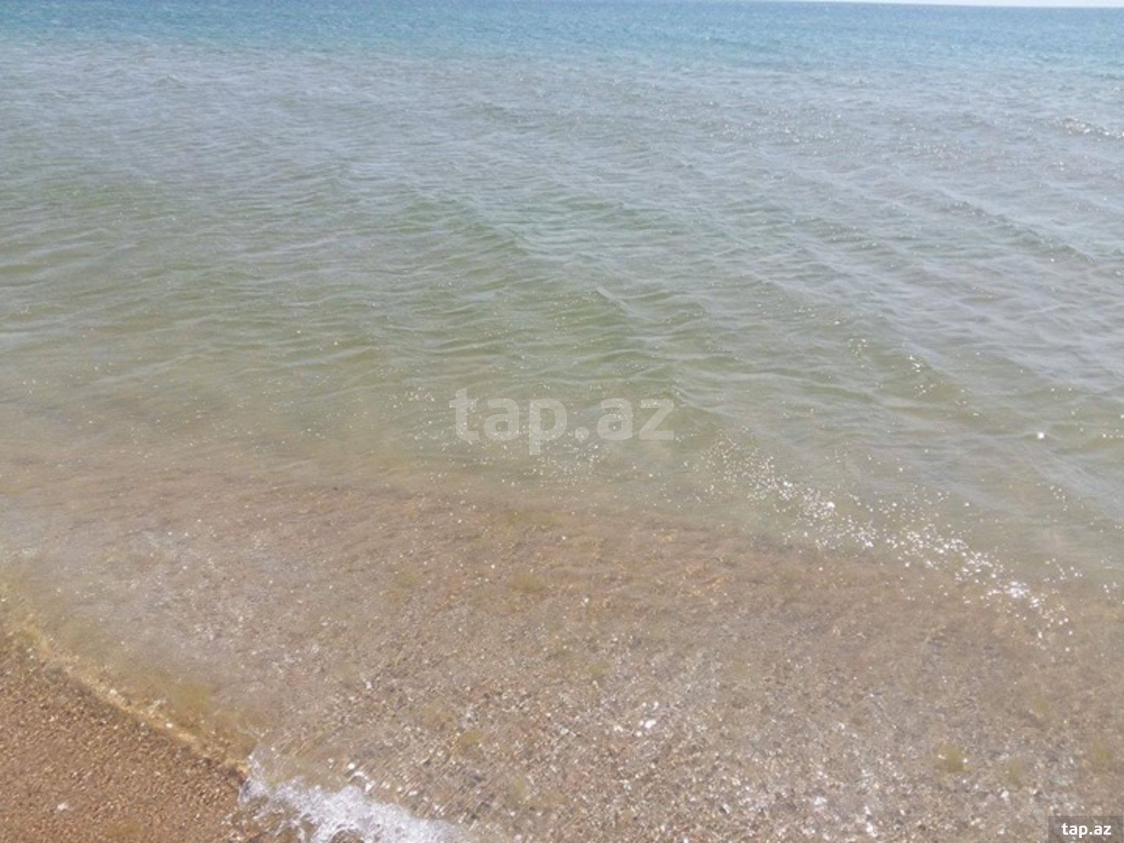 12 sot torpaq sahəsi, Zirə qəs. (8)