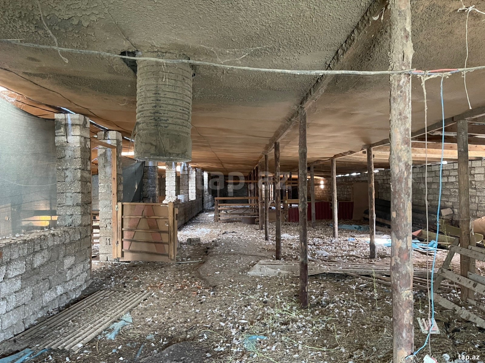 Bağ evi, Zirə qəs. (6)