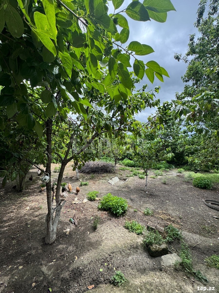 Həyət evi, Qusar r. (18)