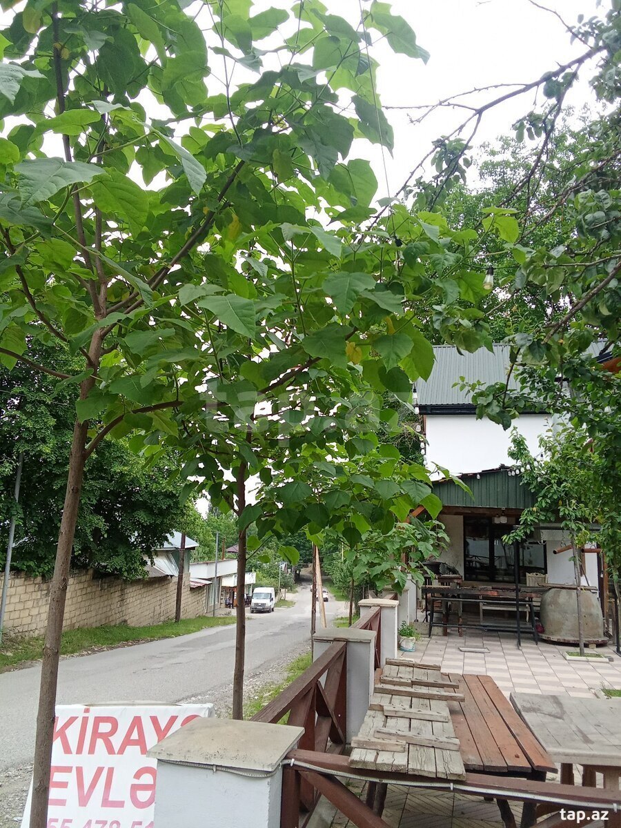 Həyət evi kirayə verilir, Küsnətqazma k. (15)
