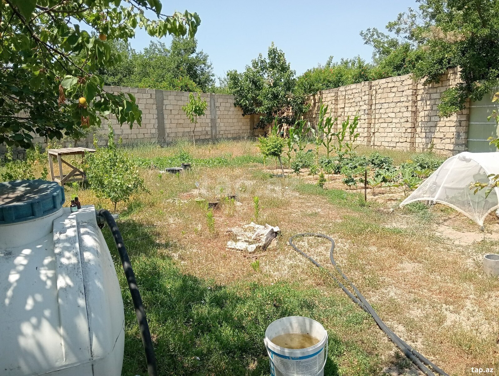 5.5 sot torpaq sahəsi, Novxanı qəs.