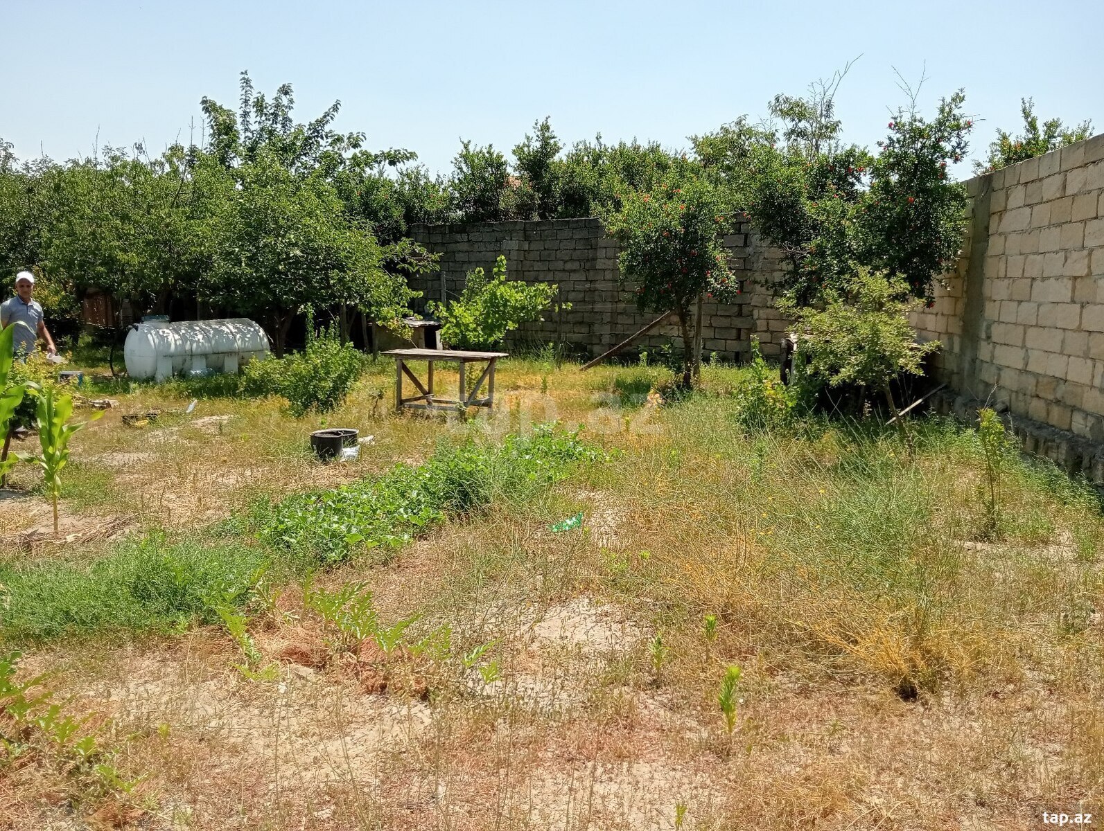 5.5 sot torpaq sahəsi, Novxanı qəs. (2)