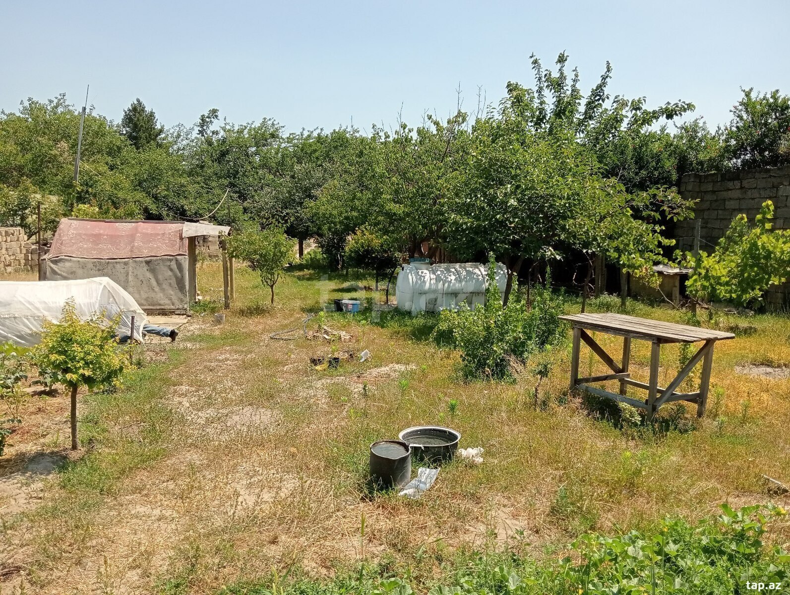 5.5 sot torpaq sahəsi, Novxanı qəs. (3)