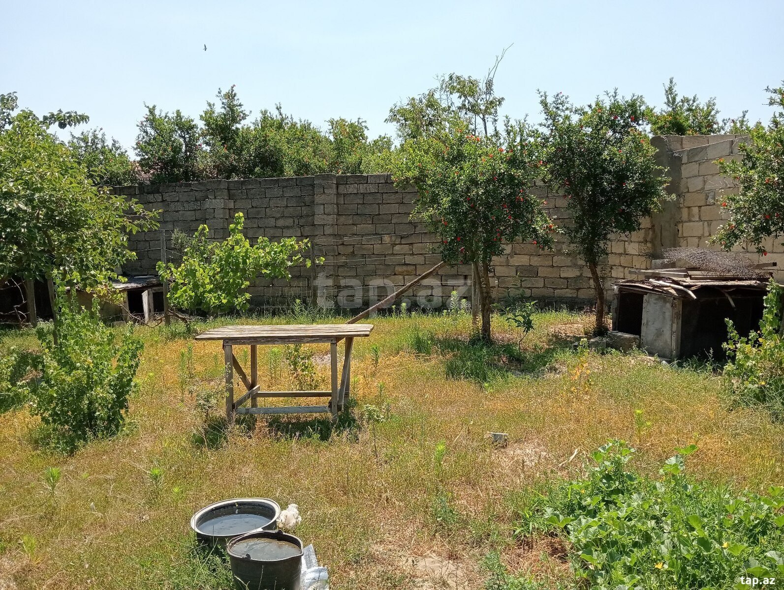 5.5 sot torpaq sahəsi, Novxanı qəs. (4)