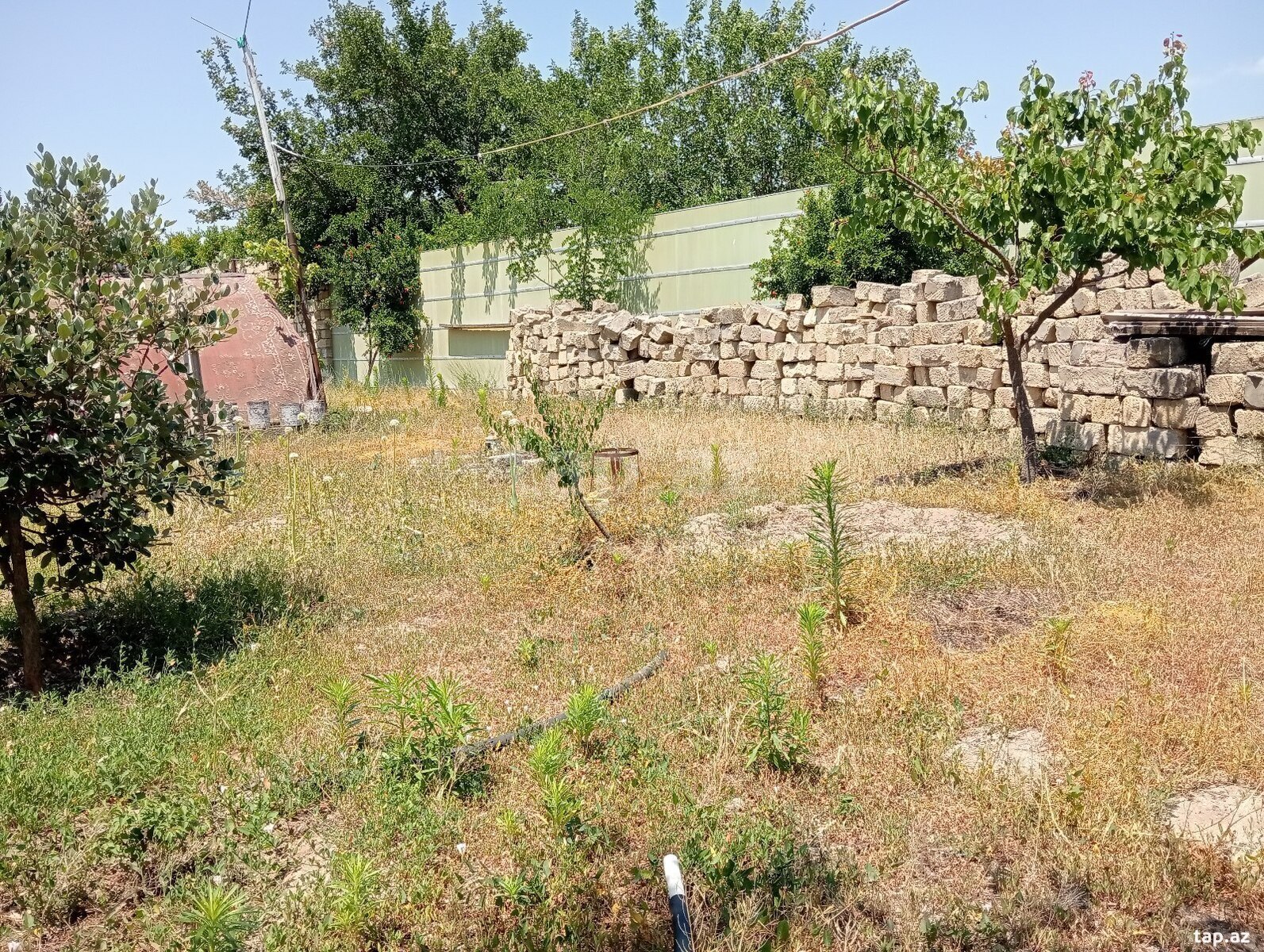 5.5 sot torpaq sahəsi, Novxanı qəs. (8)