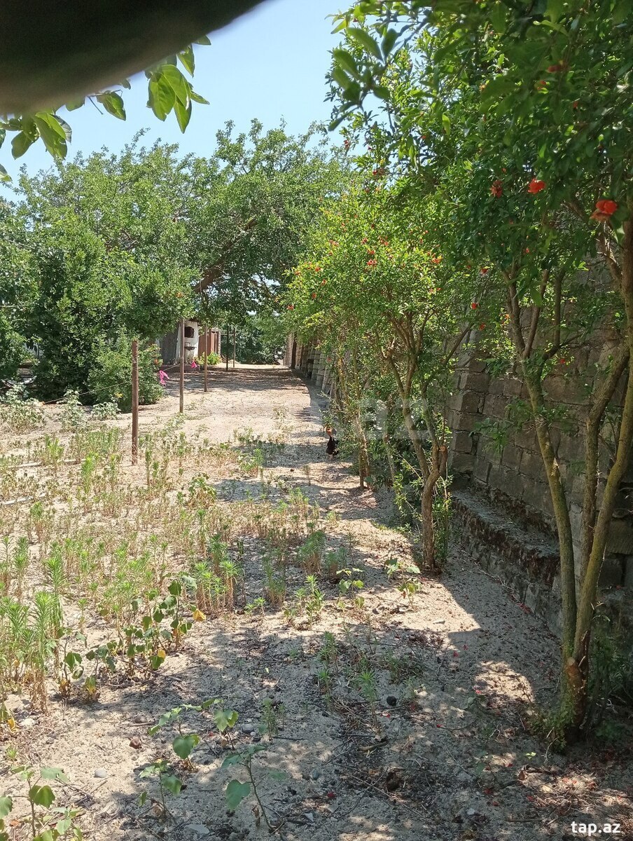 5.5 sot torpaq sahəsi, Novxanı qəs. (11)
