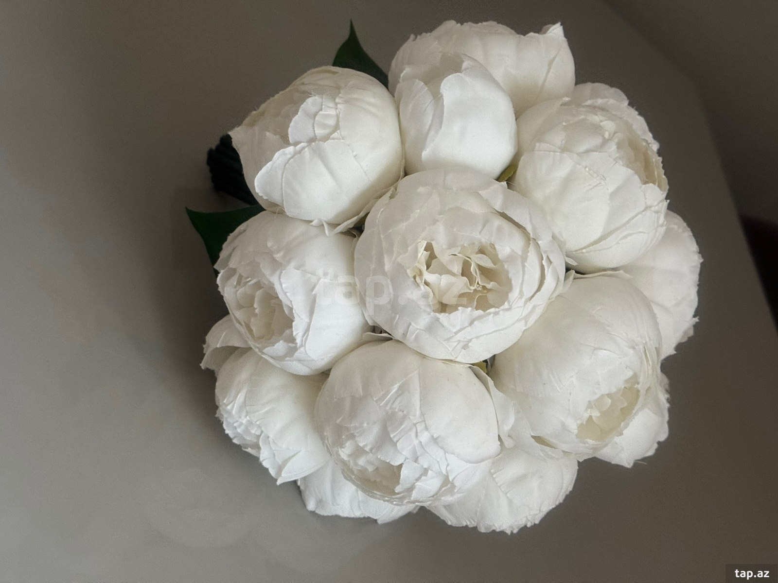 Pion buket  (2)