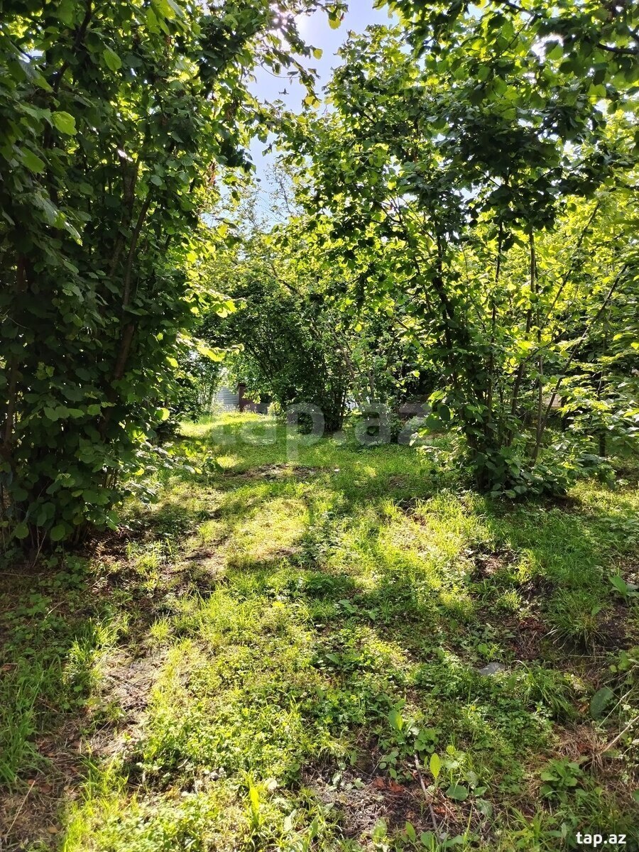 Həyət evi, Oğuz r. (23)