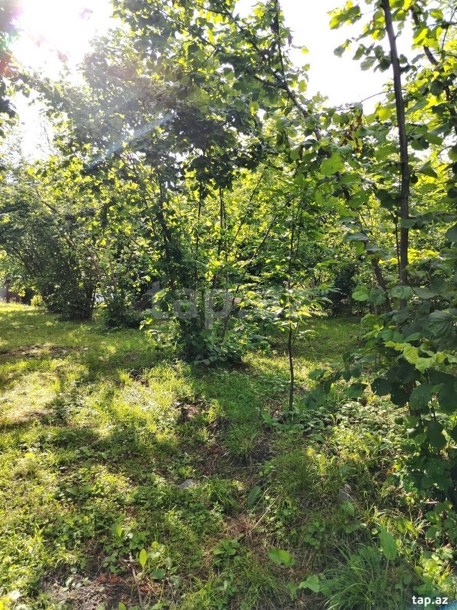 Həyət evi, Oğuz r. (24)