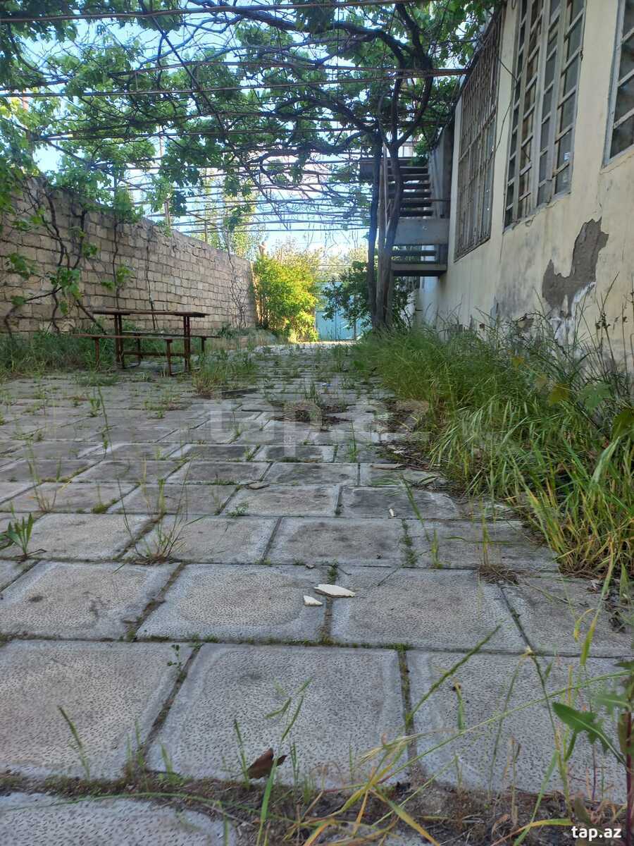 Bağ evi, Novxanı qəs. (2)