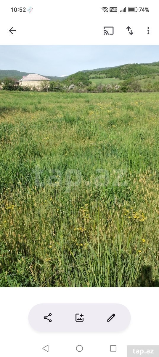 26 sot torpaq sahəsi, Quba r. (4)