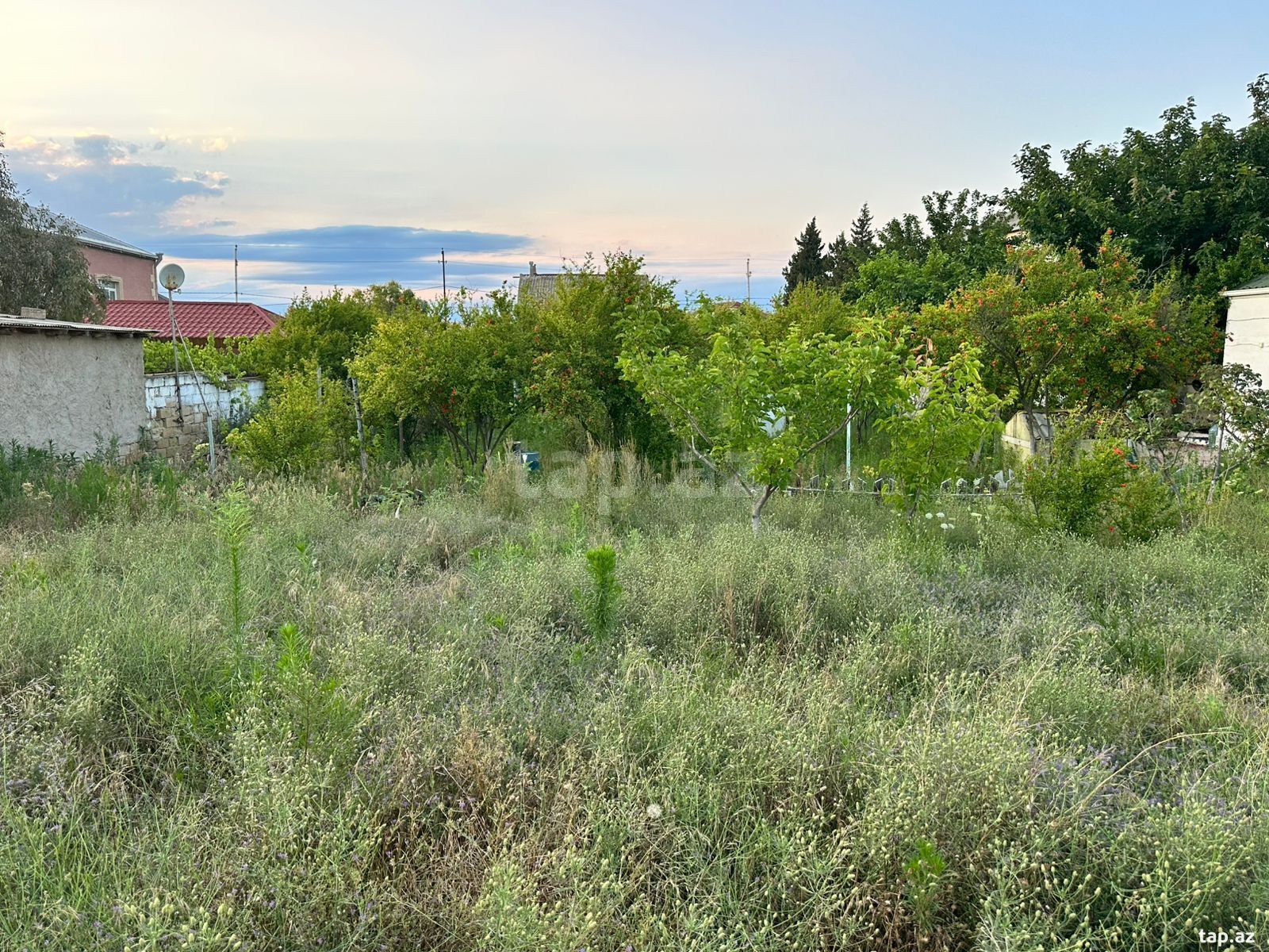 3 sot torpaq sahəsi, Novxanı bağları (9)