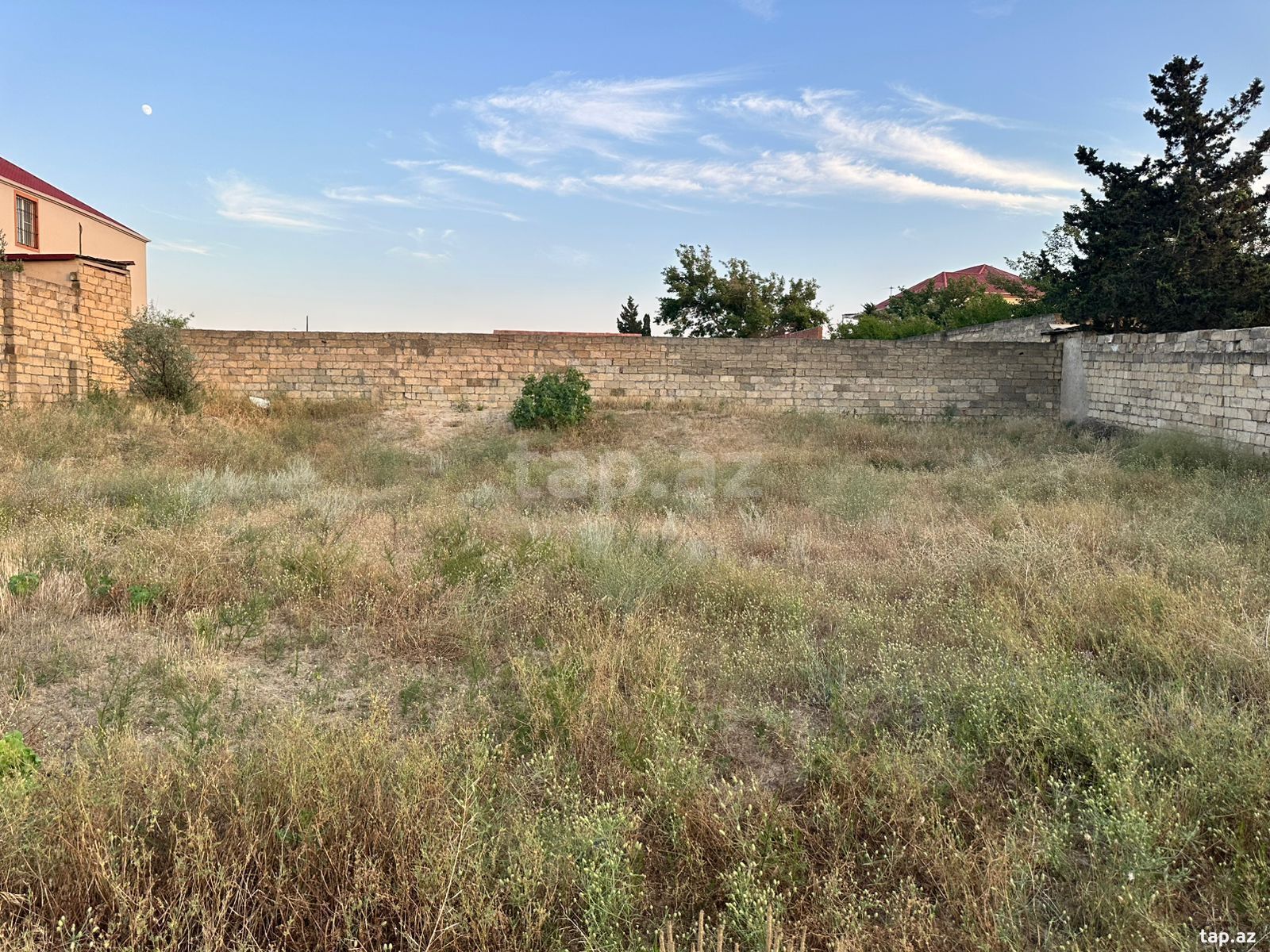 4 sot torpaq sahəsi, Novxanı bağları (3)