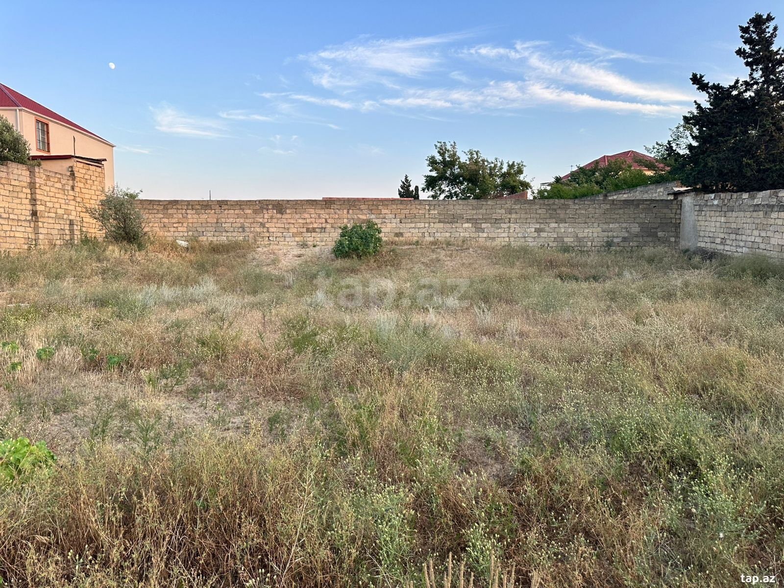 4 sot torpaq sahəsi, Novxanı bağları (6)
