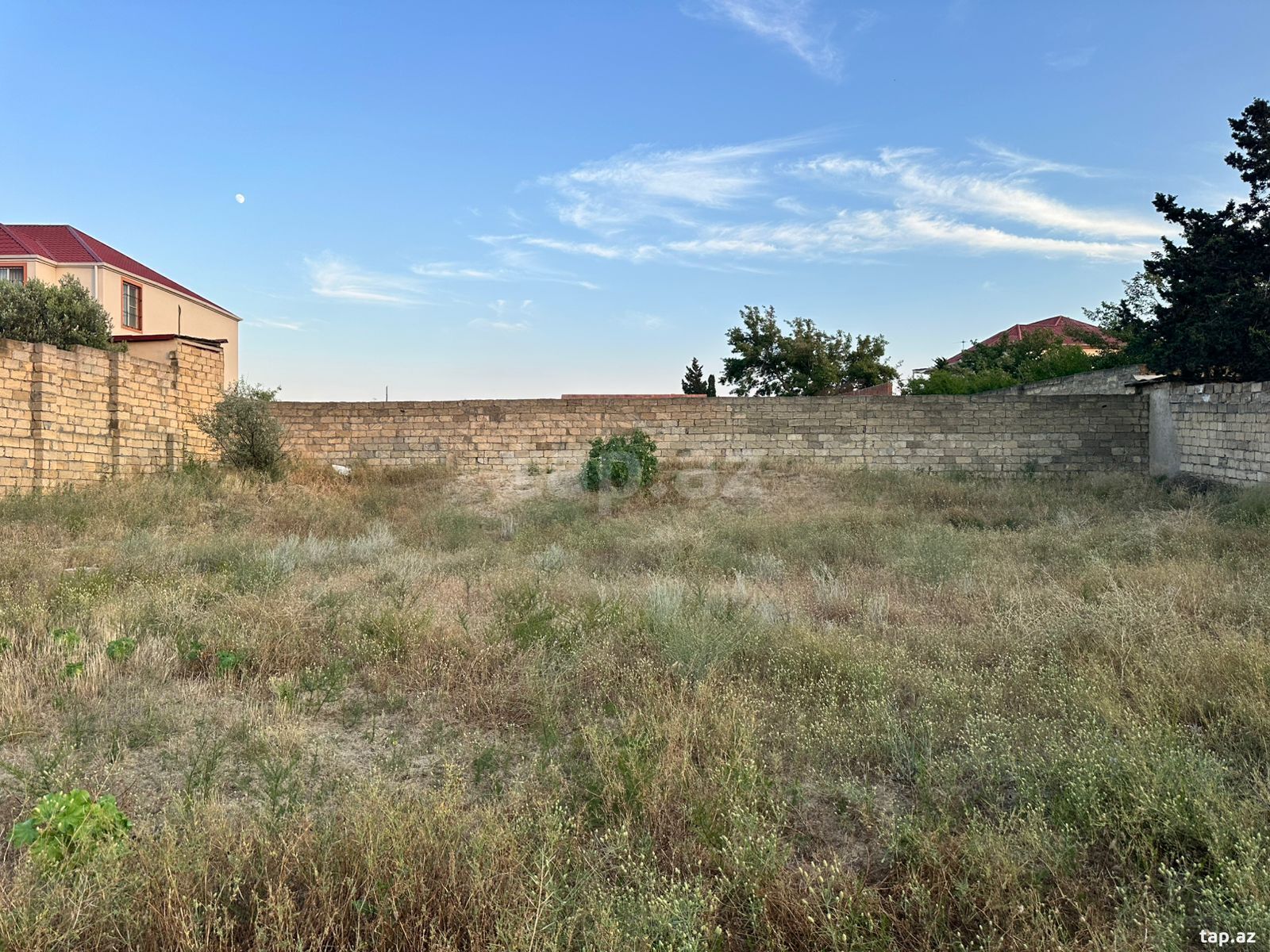 4 sot torpaq sahəsi, Novxanı bağları (7)