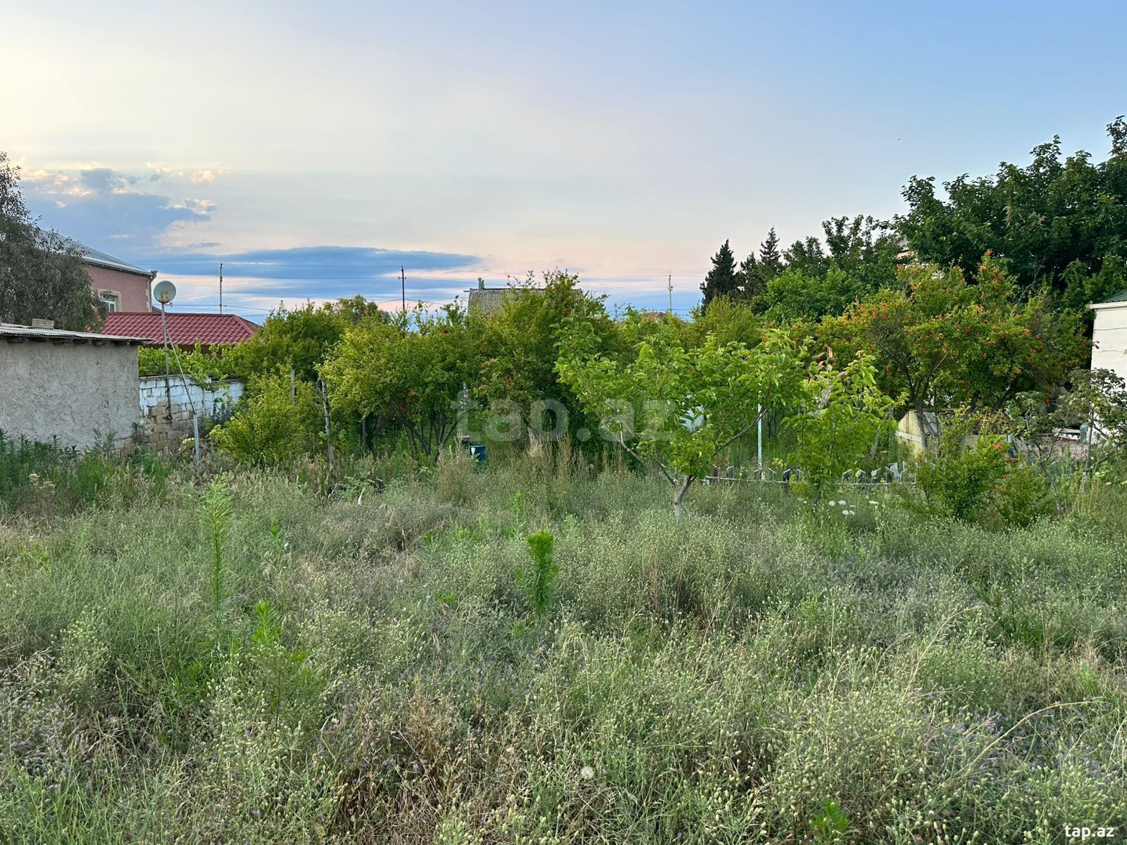4 sot torpaq sahəsi, Novxanı bağları