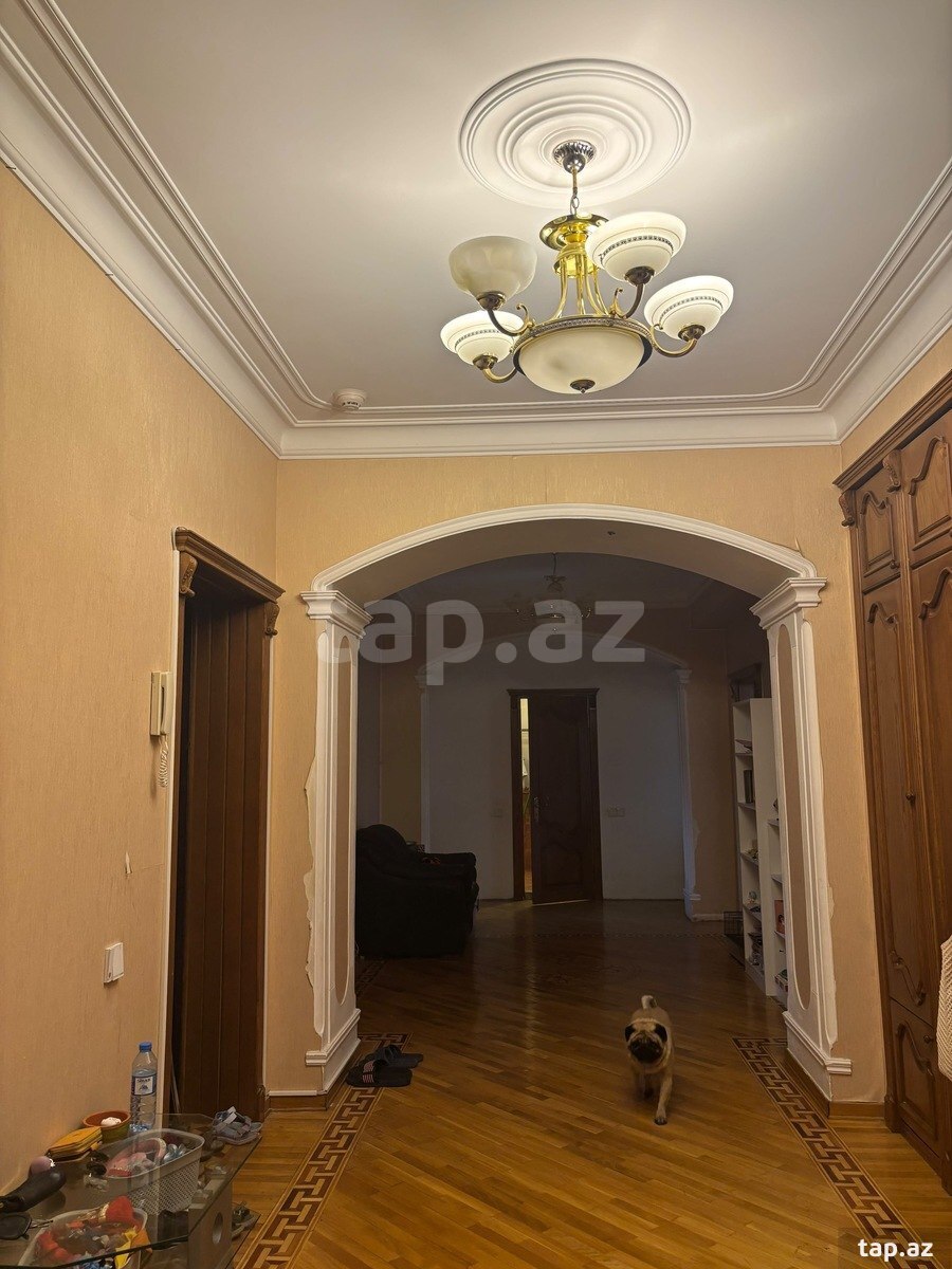5-otaqlı yeni tikili kirayə verilir, Elmlər Akademiyası m., 285 m² (6)