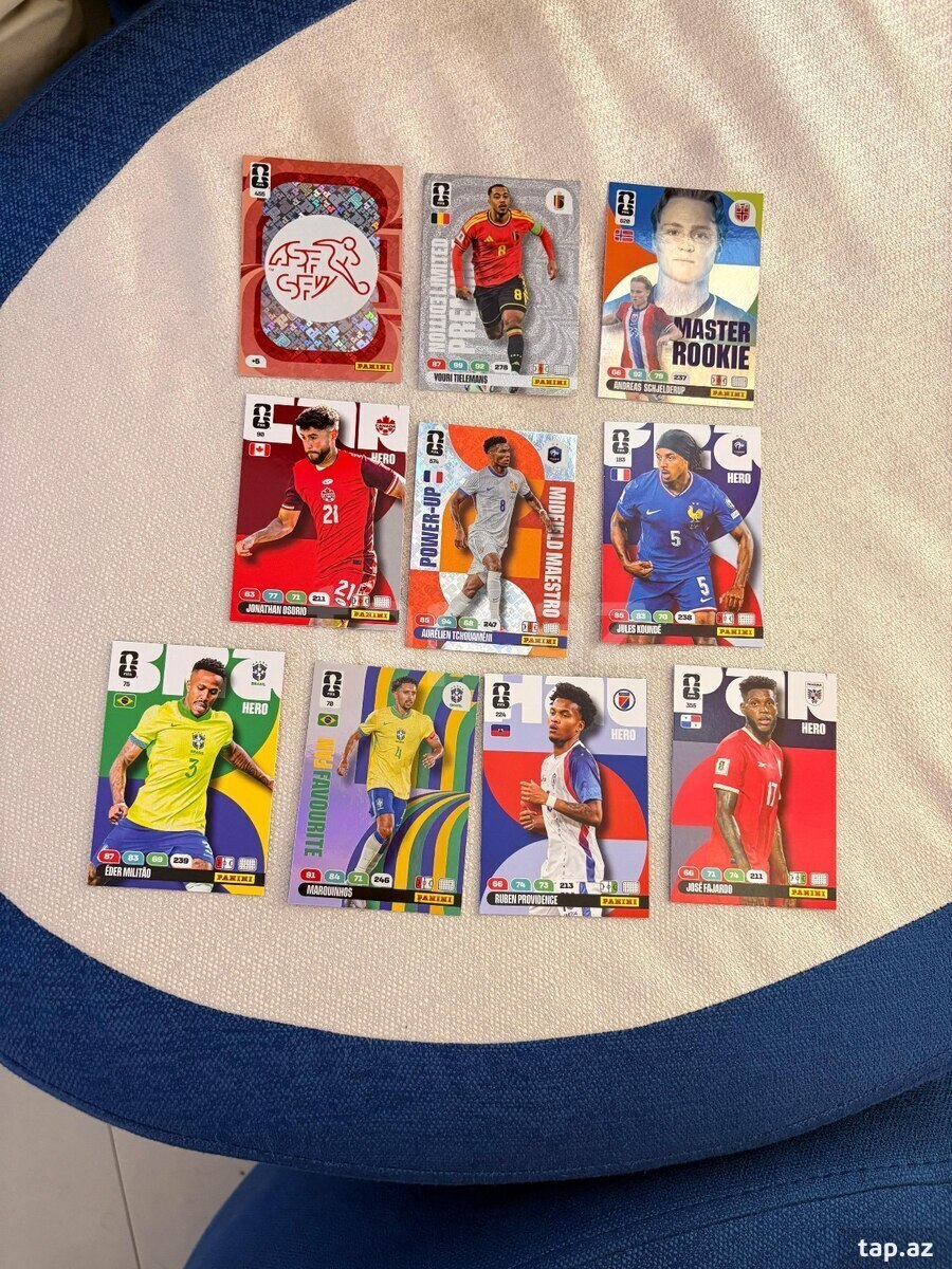 Panini kartlar  (2)