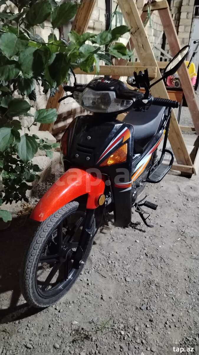 Moped, 2025 il