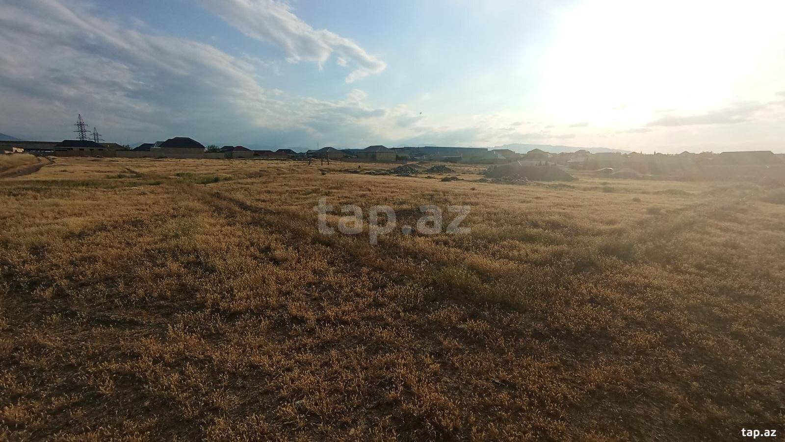 Torpaq satılır, Gəncə