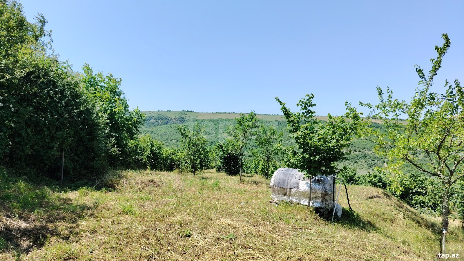10 sot torpaq sahəsi, Quba r.