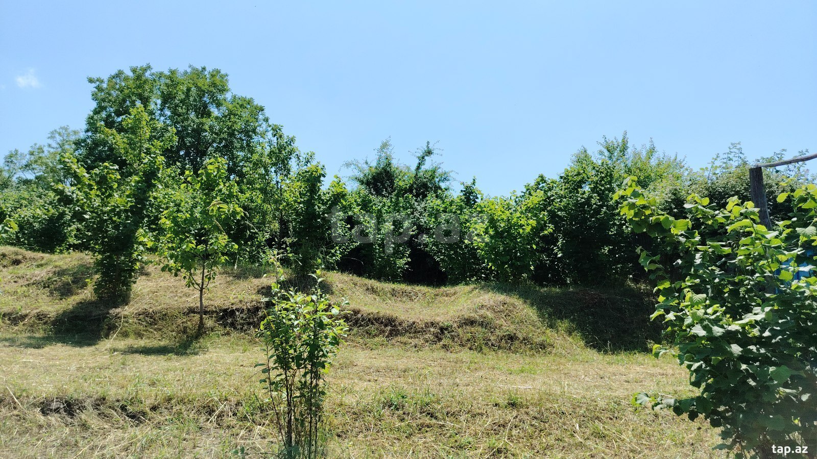 10 sot torpaq sahəsi, Quba r. (2)