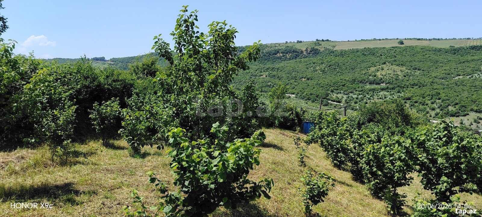 10 sot torpaq sahəsi, Quba r. (9)
