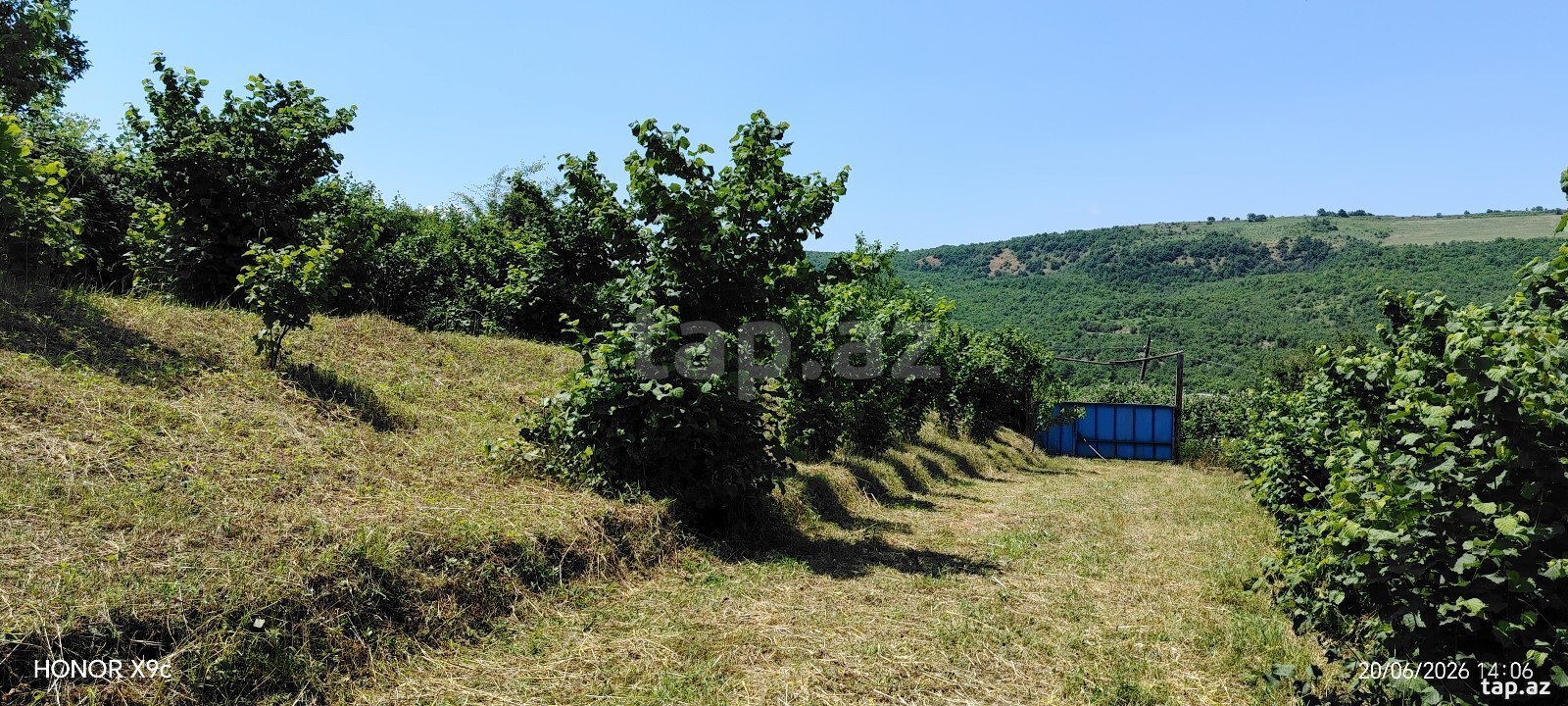 10 sot torpaq sahəsi, Quba r. (10)