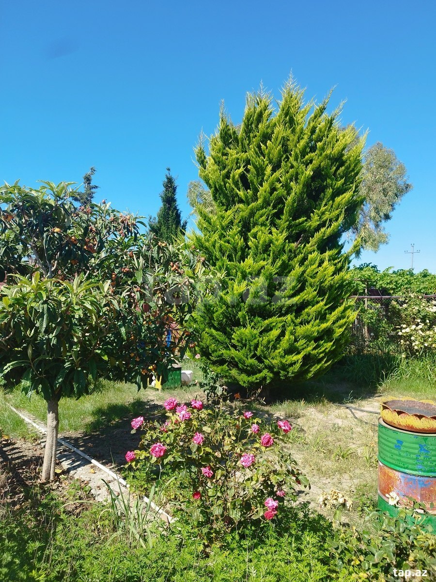 Bağ evi, Maştağa qəs. (20)