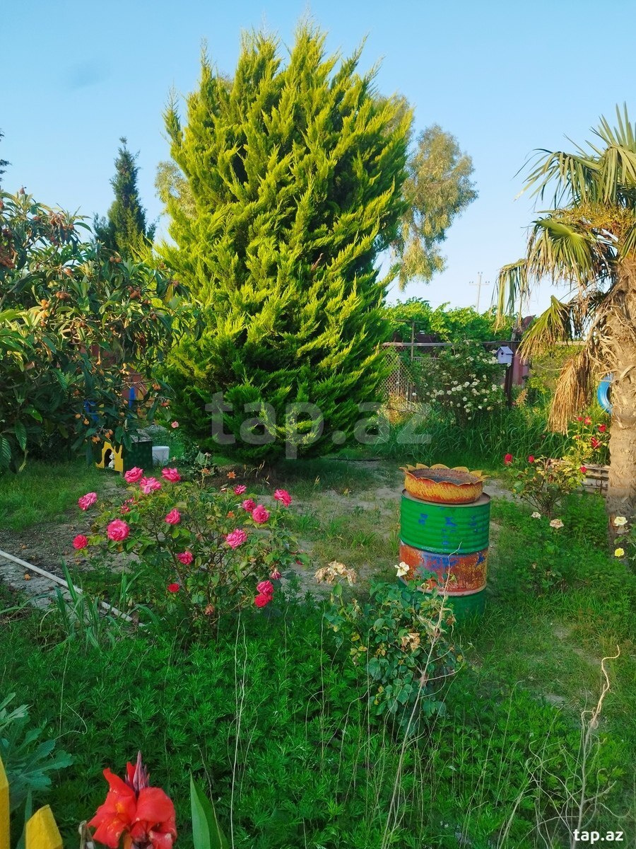 Bağ evi, Maştağa qəs.