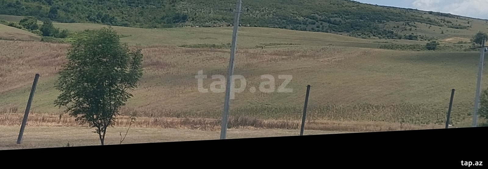 18 sot torpaq sahəsi, İsmayıllı r. (2)