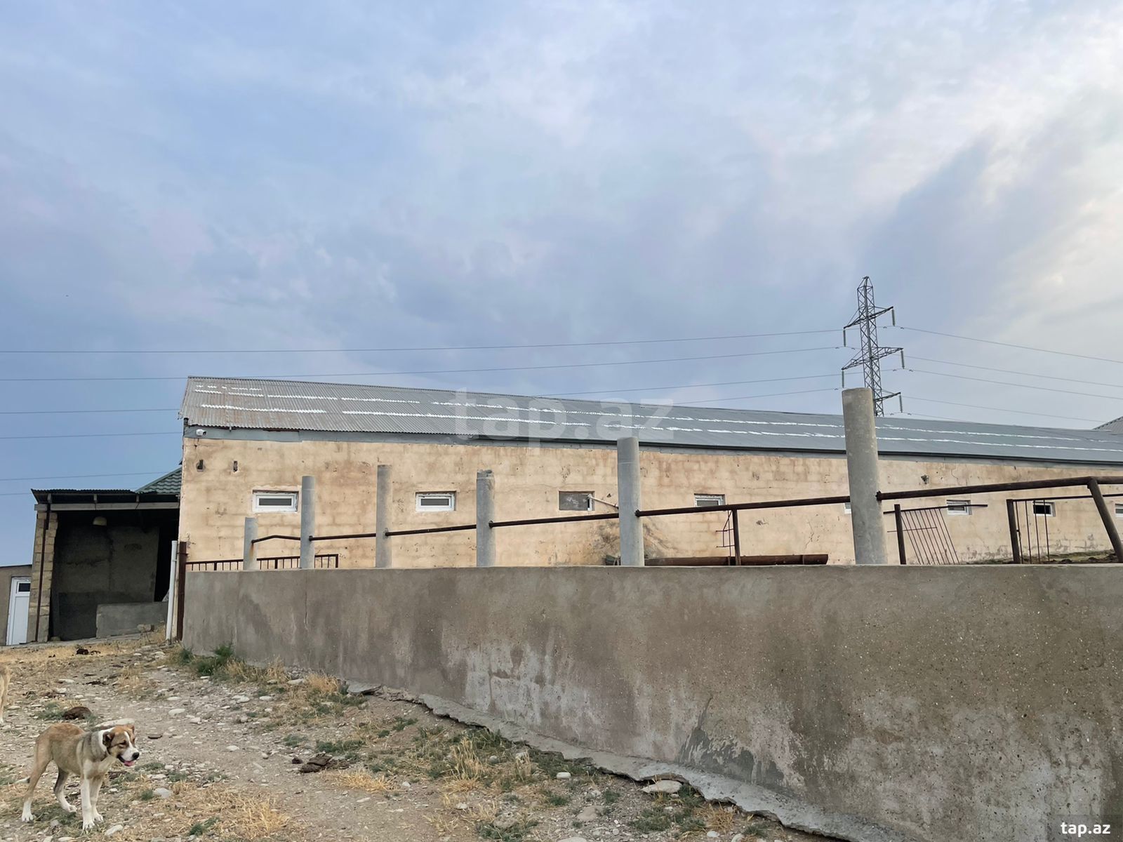 Obyekt icarəyə verilir, Aşağı Güzdək kəndi (4)