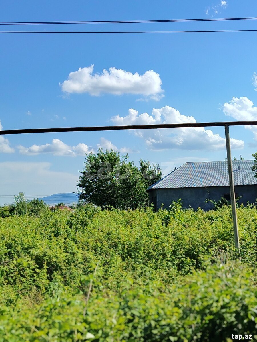 12 sot torpaq sahəsi, Şəki r. (4)