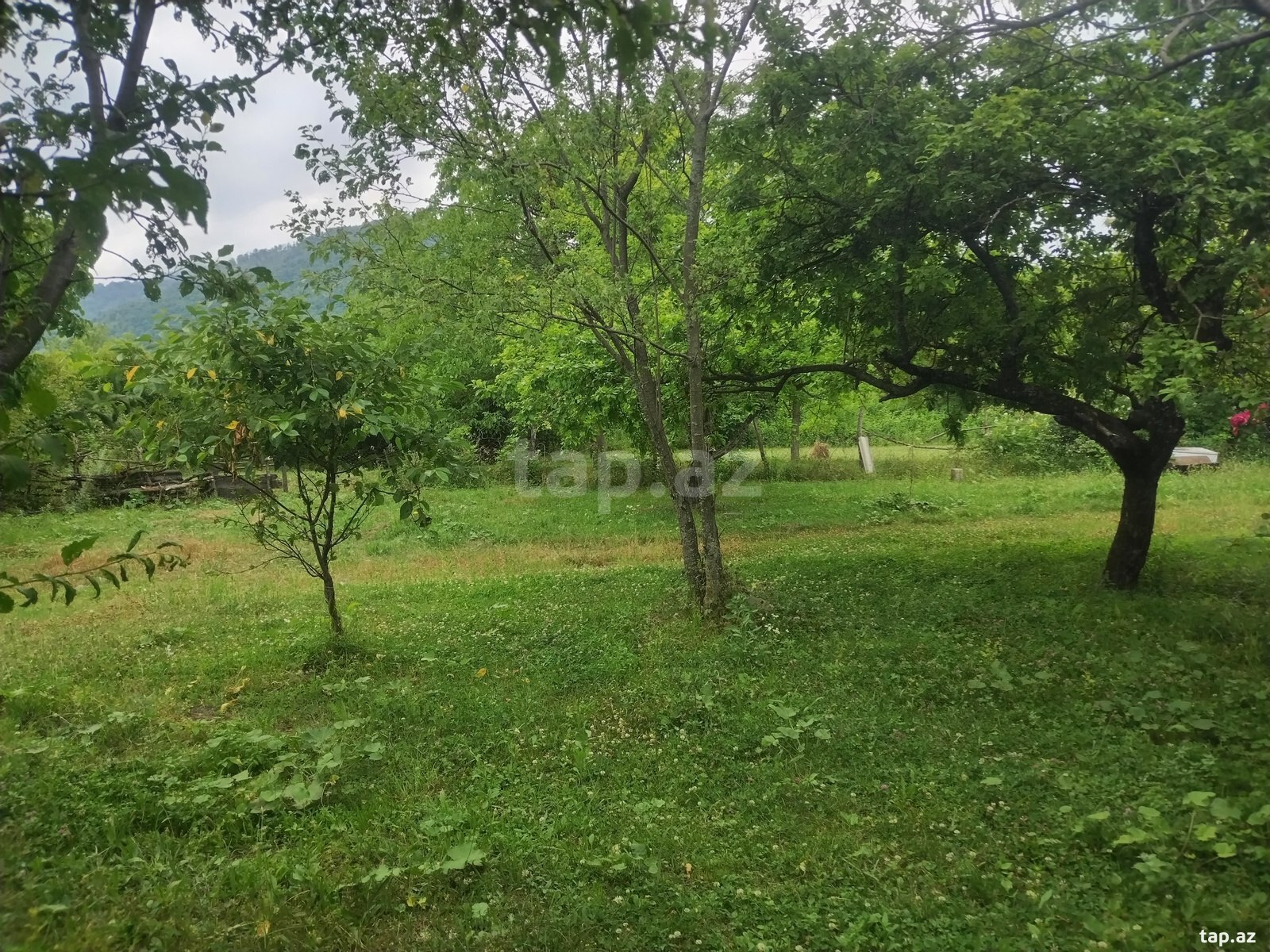 70 sot torpaq sahəsi, Qəbələ r.