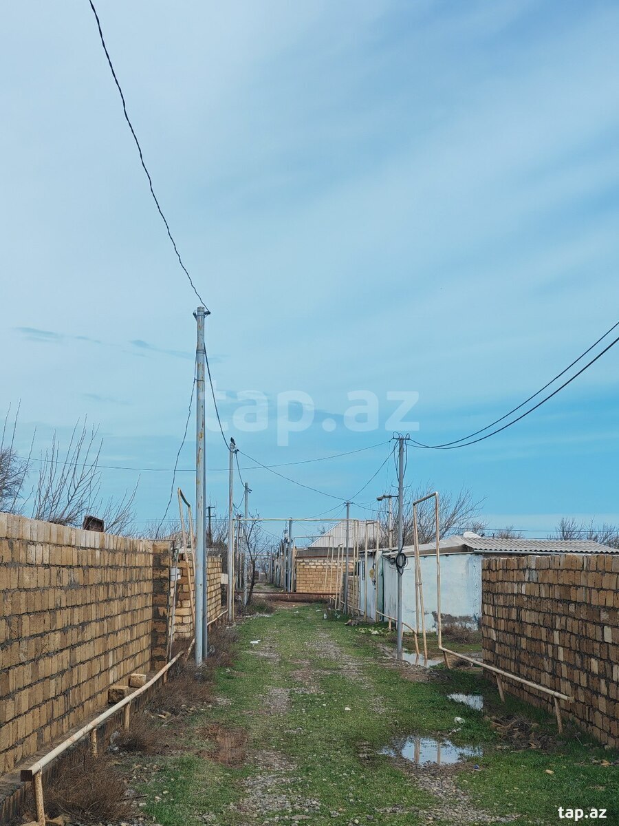 12 sot torpaq sahəsi, Yaşma bağları (8)