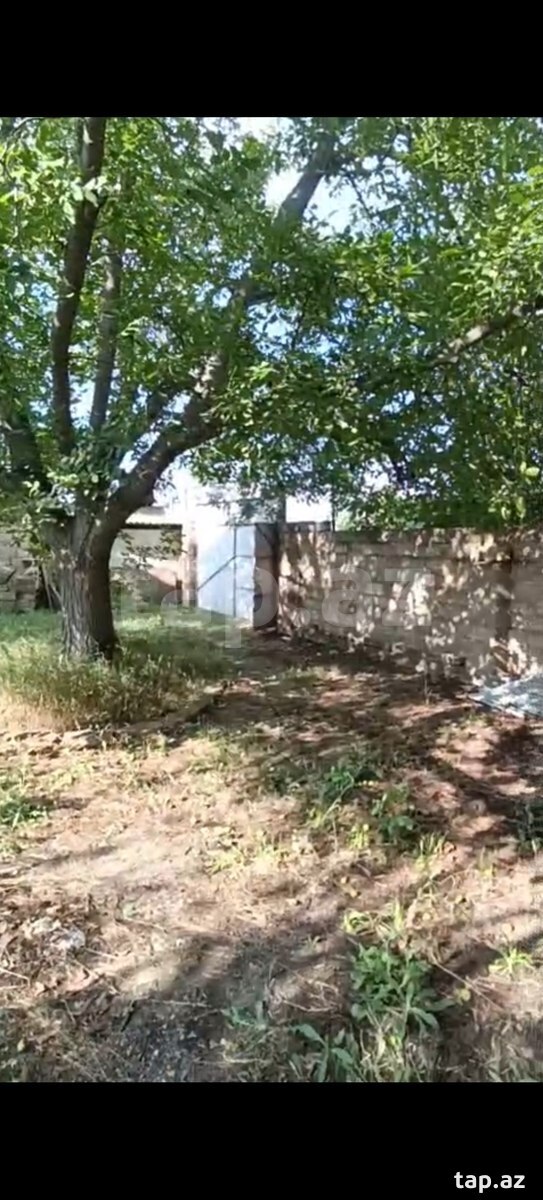 4 sot torpaq sahəsi, Gəncə ş (8)
