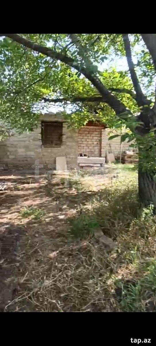 4 sot torpaq sahəsi, Gəncə ş (4)