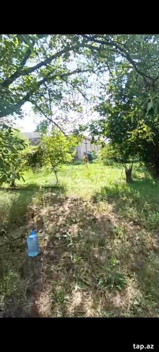 4 sot torpaq sahəsi, Gəncə ş (2)