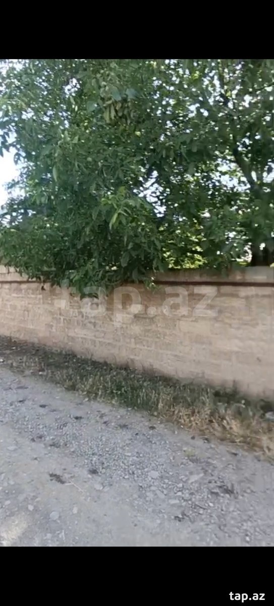 4 sot torpaq sahəsi, Gəncə ş (13)