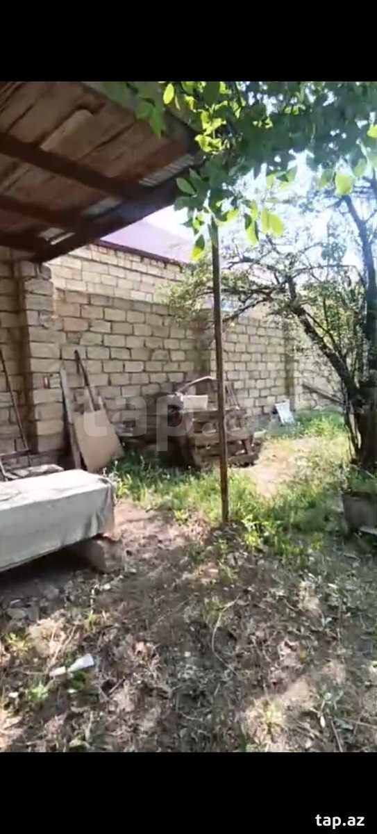 4 sot torpaq sahəsi, Gəncə ş (5)