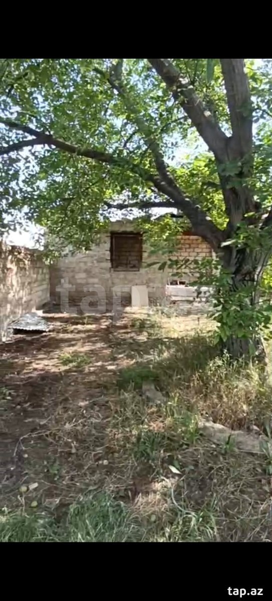 4 sot torpaq sahəsi, Gəncə ş (12)