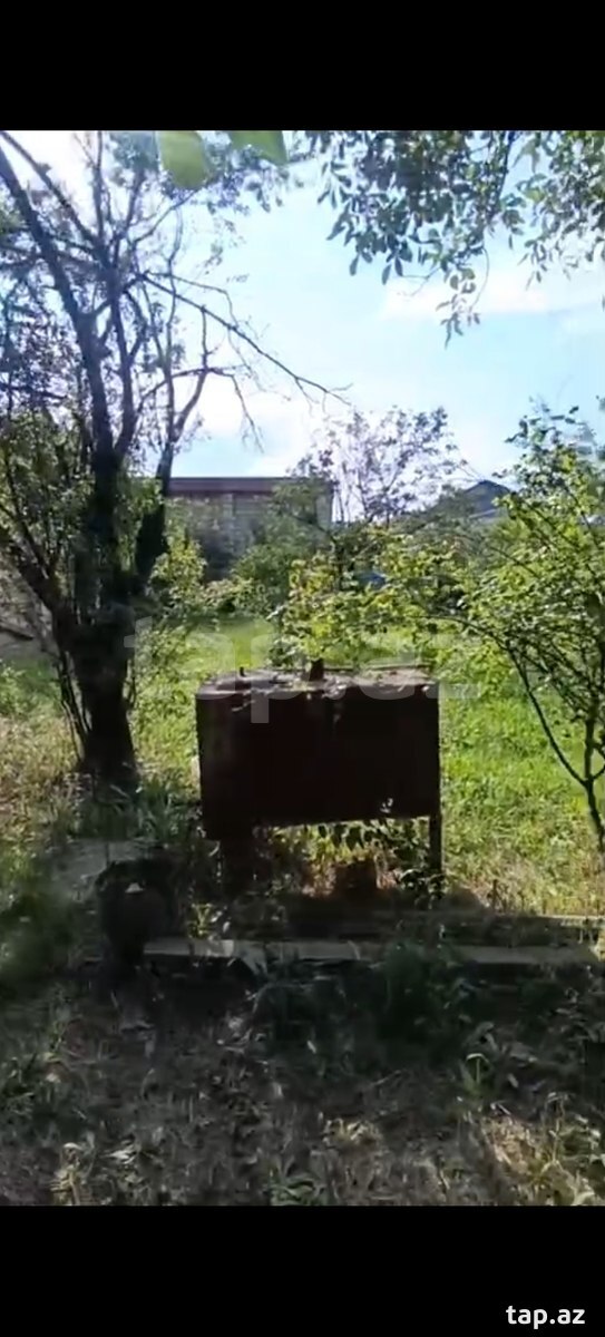 4 sot torpaq sahəsi, Gəncə ş (9)