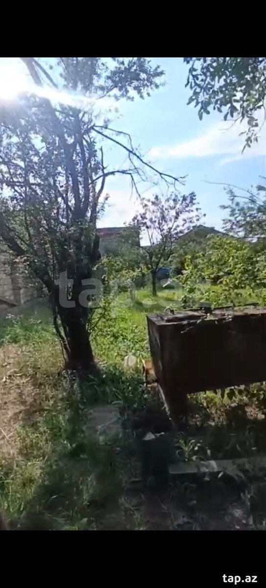 4 sot torpaq sahəsi, Gəncə ş (6)