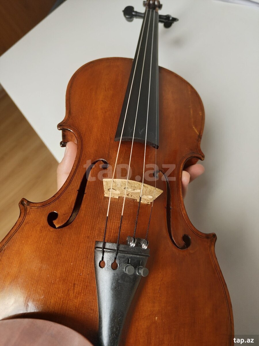 Antik stripka ( violin )