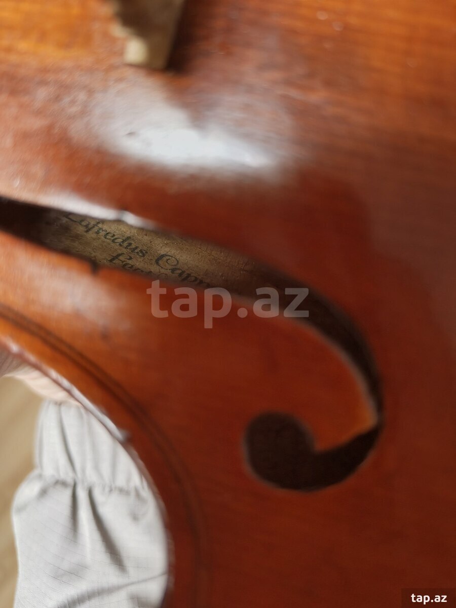 Antik stripka ( violin ) (2)