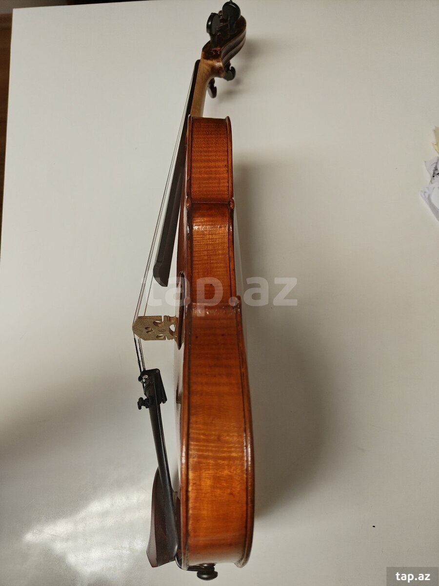 Antik stripka ( violin ) (5)
