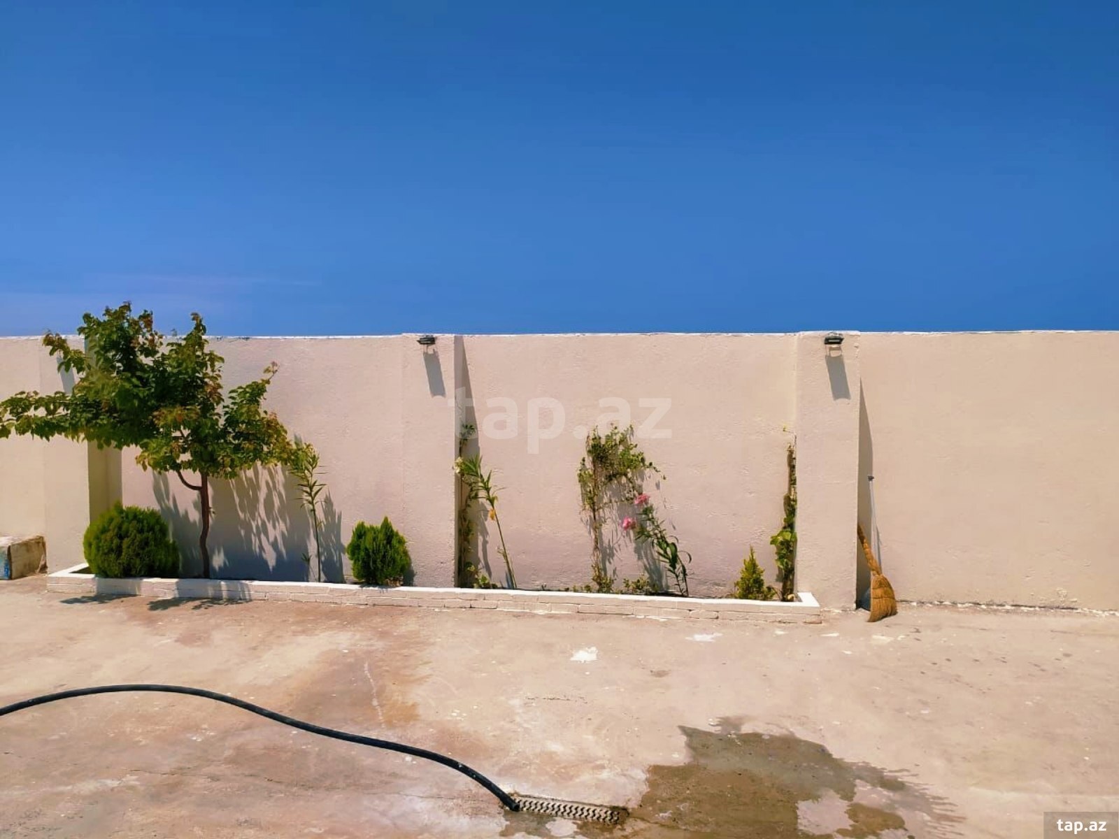 Bağ evi kirayə verilir, Pirşağı qəs. (23)